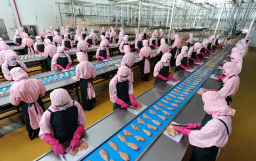 Đơn hàng chế biến thủy sản tại Nhật Bản cho nữ lương cao 2020 Che-bien-thuy-san-khong-gia-nhiet